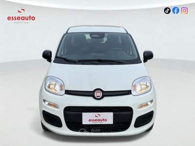 Fiat Panda FireFly S&S Hybrid ADAS Rosso usata PISTOIA
