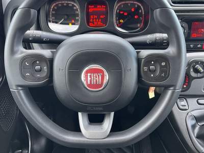 Fiat Panda FIAT NEW PANDA - BENZINA -HYBRIDA Grigio usata CUPELLO