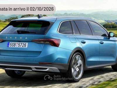 Skoda Octavia 2.0 TDI 115 CV Wagon Executive Argento usata Pieve di Cento