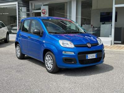 Fiat Panda 1.0 FireFly S&S Hybrid Pandina Blu/Azzurro usata Lauria