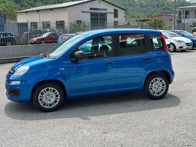 Fiat Panda 1.0 FireFly S&S Hybrid Pandina Blu/Azzurro usata Lauria