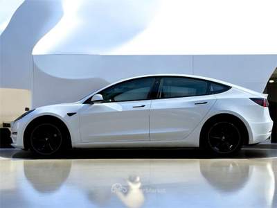 Tesla Model 3 Standard Range Plus RWD Bianco usata Torino