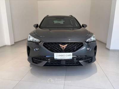 Cupra Formentor 2.0 tdi 4drive 150cv dsg Grigio usata Caltagirone