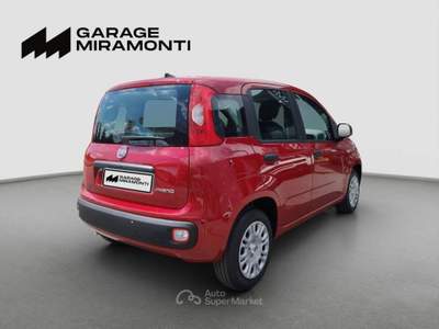 Fiat Panda Panda 1.0 firefly hybrid s&s 70cv Rosso usata Cappella Maggiore