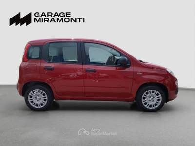 Fiat Panda Panda 1.0 firefly hybrid s&s 70cv Rosso usata Cappella Maggiore