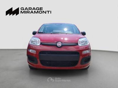 Fiat Panda Panda 1.0 firefly hybrid s&s 70cv Rosso usata Cappella Maggiore