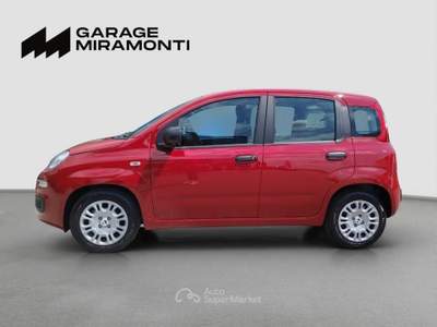 Fiat Panda Panda 1.0 firefly hybrid s&s 70cv Rosso usata Cappella Maggiore