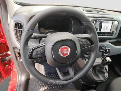 Fiat Panda Panda 1.0 firefly hybrid s&s 70cv Rosso usata Cappella Maggiore