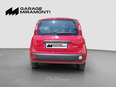 Fiat Panda Panda 1.0 firefly hybrid s&s 70cv Rosso usata Cappella Maggiore