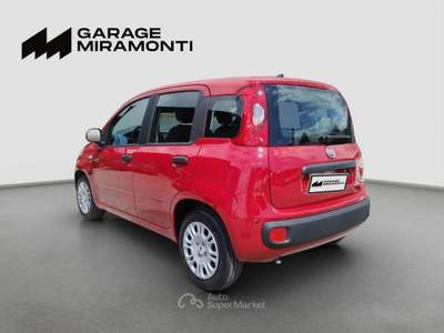 Fiat Panda Panda 1.0 firefly hybrid s&s 70cv Rosso usata Cappella Maggiore