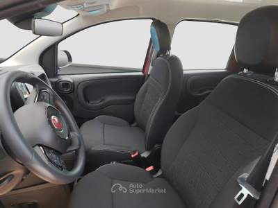 Fiat Panda Panda 1.0 firefly hybrid s&s 70cv Rosso usata Cappella Maggiore