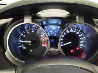 Nissan Juke 1ª serie 1.6 GPL Acenta Grigio usata Torino