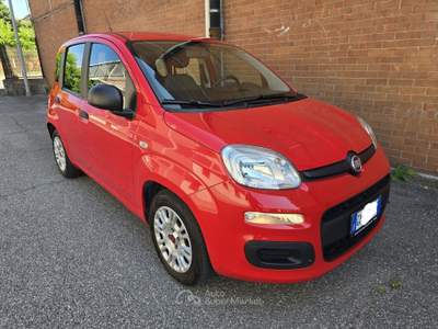 Fiat Panda FireFly S&S Hybrid Rosso usata CASELETTE