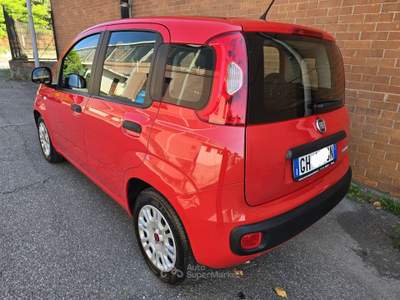 Fiat Panda FireFly S&S Hybrid Rosso usata CASELETTE