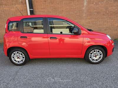 Fiat Panda FireFly S&S Hybrid Rosso usata CASELETTE
