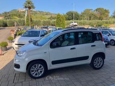 Fiat Panda 0.9 TwinAir Turbo Natural Power Easy Bianco usata Cortona