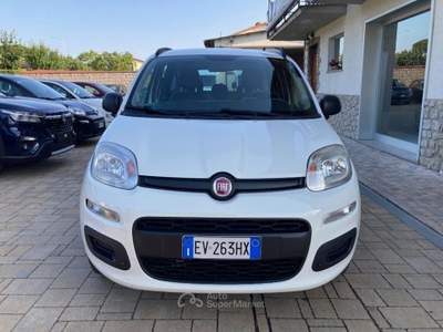 Fiat Panda 0.9 TwinAir Turbo Natural Power Easy Bianco usata Cortona