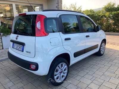 Fiat Panda 0.9 TwinAir Turbo Natural Power Easy Bianco usata Cortona
