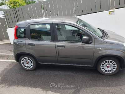 Fiat Panda Fiat panda Grigio usata Concesio