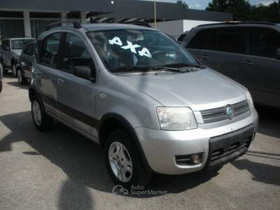 Fiat Panda 4x4 Argento usata Frosinone