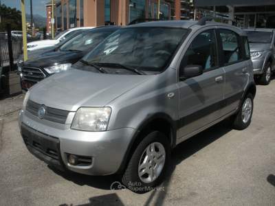 Fiat Panda 4x4 Argento usata Frosinone