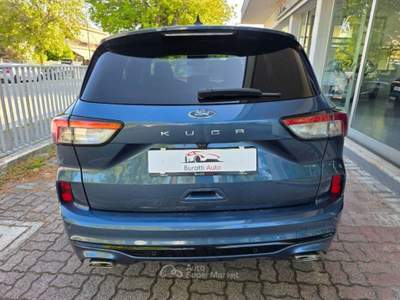 Ford Kuga 2.0 ecoblue ST-Line 2wd 120cv auto BURATTI PREMIUM Blu/Azzurro usata Cesenatico