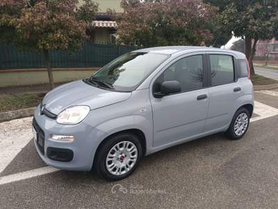 Fiat Panda 1.0 firefly hybrid S&S ** 25.000 KM ** Grigio usata Leini