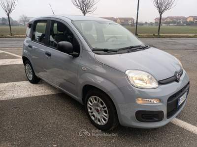 Fiat Panda 1.0 firefly hybrid S&S ** 25.000 KM ** Grigio usata Leini