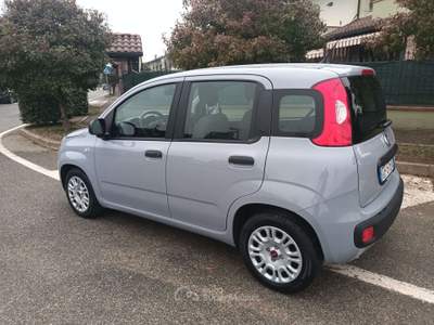Fiat Panda 1.0 firefly hybrid S&S ** 25.000 KM ** Grigio usata Leini