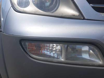 SsangYong Rexton SsamgYong Rexton 4x4 Argento usata Ranzanico