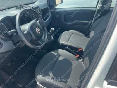Fiat Panda 1.0 FireFly S&S Hybrid Bianco usata Lucugnano