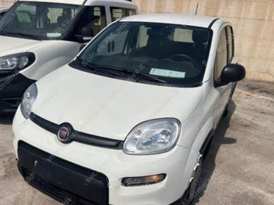 Fiat Panda 1.0 FireFly S&S Hybrid Bianco usata Lucugnano