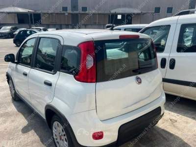 Fiat Panda 1.0 FireFly S&S Hybrid Bianco usata Lucugnano