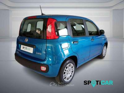 Fiat Panda 1.0 FireFly S&S Hybrid PANDINA ADAS Blu/Azzurro usata BOLOGNA