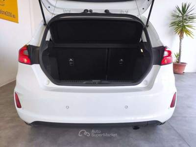 Ford Fiesta 1.1 75 CV GPL 5 porte Titanium NEOPATENTATI Bianco usata San Biagio di Callalta