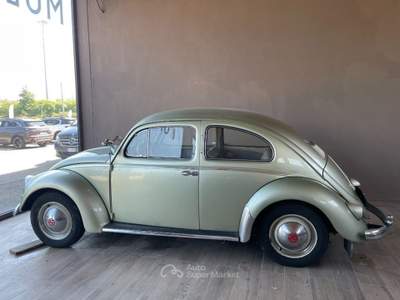Volkswagen Maggiolino Ovalino 6V Verde usata Scandiano