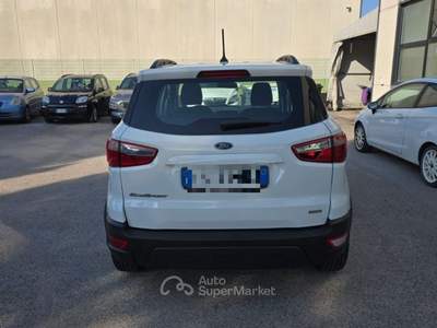 Ford EcoSport 1.0 EcoBoost 100 CV Business RECANATI Bianco usata Recanati