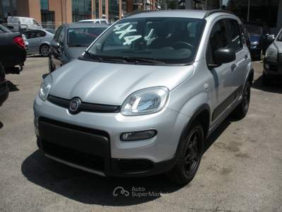 Fiat Panda 4x4 Argento usata Frosinone