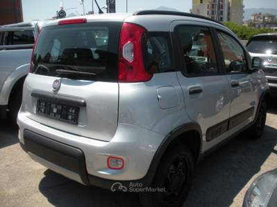 Fiat Panda 4x4 Argento usata Frosinone