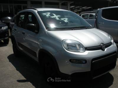 Fiat Panda 4x4 Argento usata Frosinone