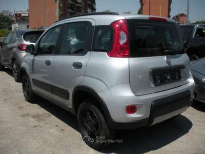 Fiat Panda 4x4 Argento usata Frosinone