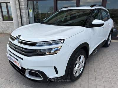 Citroen C5 Aircross 1.5 bluehdi Business s&s 130cv eat8 Bianco usata Campobasso