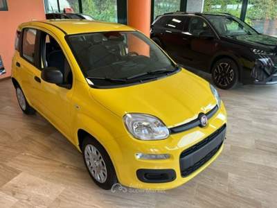 Fiat Panda 1.0 Hybrid MY25 INCENTIVO REGIONE LOMBARDIA Giallo usata Cassano d'Adda
