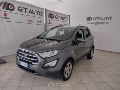Ford EcoSport   1.5 tdci s&s business Grigio usata Pisa
