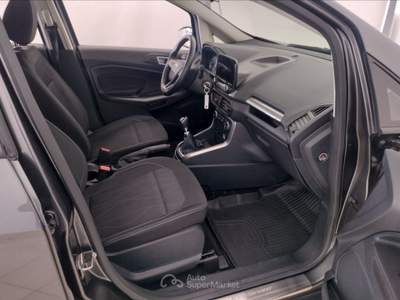 Ford EcoSport   1.5 tdci s&s business Grigio usata Pisa