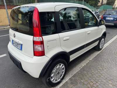 Fiat Panda 1.2 4x4 Climbing Bianco usata ROMAGNANO SESIA
