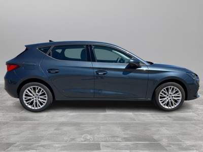 Seat Leon  5 porte business 2.0 tdi 110 kw (150 cv) diesel dsg 7 marce 2wd usata Siena