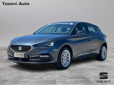 Seat Leon  5 porte business 2.0 tdi 110 kw (150 cv) diesel dsg 7 marce 2wd usata Siena