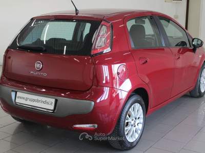 Fiat Punto Evo 1.3 Mjt 75CV DPF 5p. S&S Dyn. Rosso usata Potenza