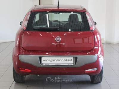 Fiat Punto Evo 1.3 Mjt 75CV DPF 5p. S&S Dyn. Rosso usata Potenza